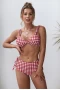 Retro Red Gingham Pattern Triangle Bikini Top & Tie Side Cut Out Bottom