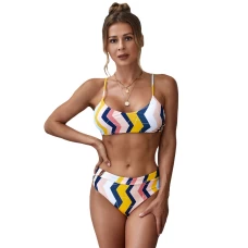 Multicolor Stripes Print Fine Line Bralette Bikini Top & High Cut Cheeky Bottom