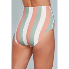 Women's Multicolor Stripes Print Front Tie High Waist Bikini Bottoms