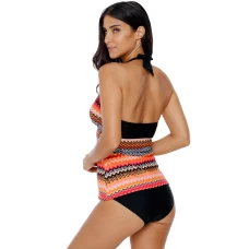 Women's Multicolor Zigzag Print Plunging V Neck Halter Tankini Swim Top